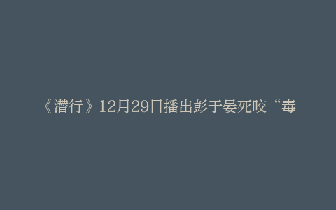 《潜行》12月29日播出彭于晏死咬“毒贩 ”华仔